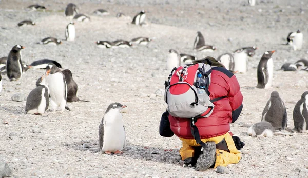 Expedição científica na Antártica — Fotografia de Stock