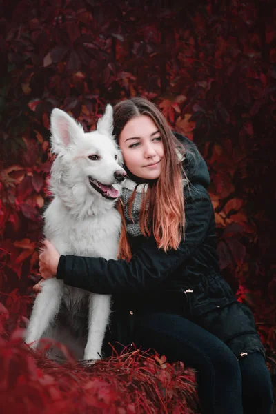 Beautiful teenager girl with her mixed breed dog sitting on a background of red leaves of wild grapes in cold weather — Stock Photo, Image