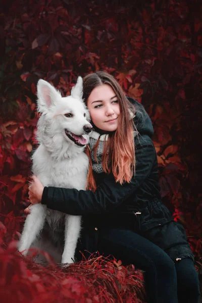 Beautiful teenager girl hugging her white dog on the bank of the river autumn morning — Stock Photo, Image