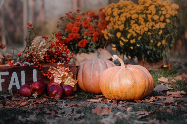 Autumn composition. Pumpkins, chrysanthemums in pots, autumn leaves and tablet with an inscription "Fall" — Stock Photo, Image