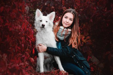 Beyaz köpek ile güzel kız