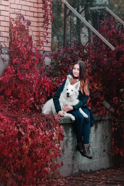 Menina bonita com cão branco — Fotografia de Stock