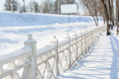Kış manzarası. Kar yağışı, beyaz çitler, kış parkı