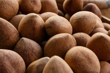 Kahverengi hindistancevizi yığını