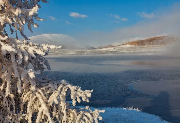 Bergmeer in de herfst met besneeuwde pluizige takken van een lariksboom aan de voorkant — Stockfoto