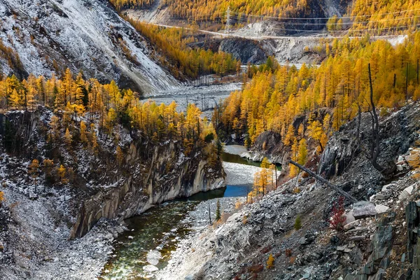 Een bergdal met rivier, weg, elektriciteitsleiding, gele lariks en sneeuw in september — Stockfoto