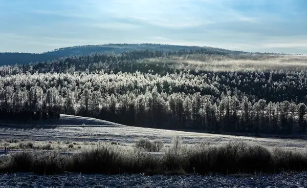 Winterlandschap van bos en heuvels in de ochtend met hevige vorst op bomen — Stockfoto