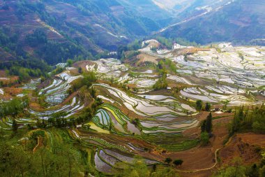 Yunnan Yuanyang teraslar