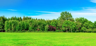 Güzel açık hava ormanları ve çimenler.