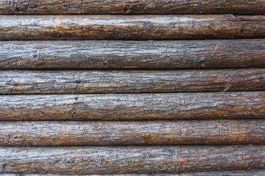 Çin, Asya 'da kütük duvarı