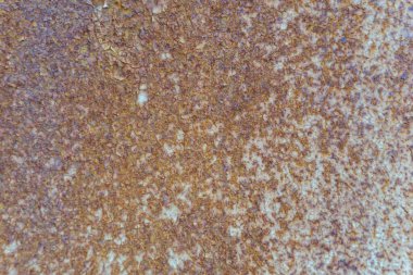 Çin ve Asya 'da pas