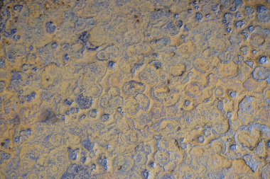 Çin ve Asya 'da pas