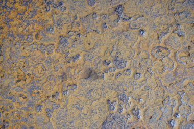 Çin ve Asya 'da pas