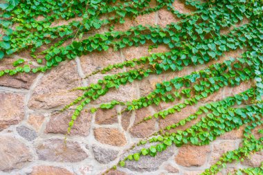 Çin, Asya 'da taş duvar