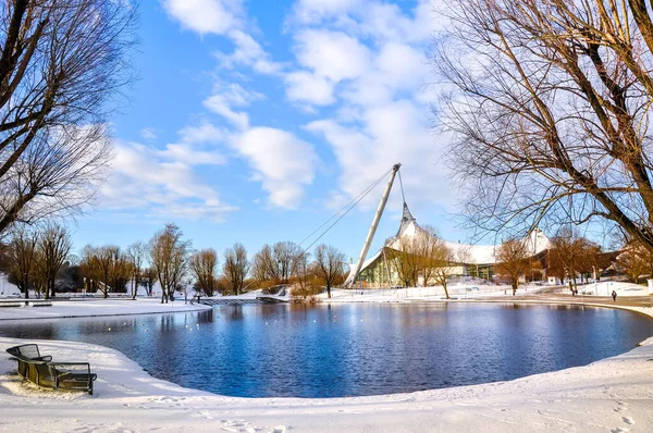 Schneeszene Winterpark See — Stockfoto