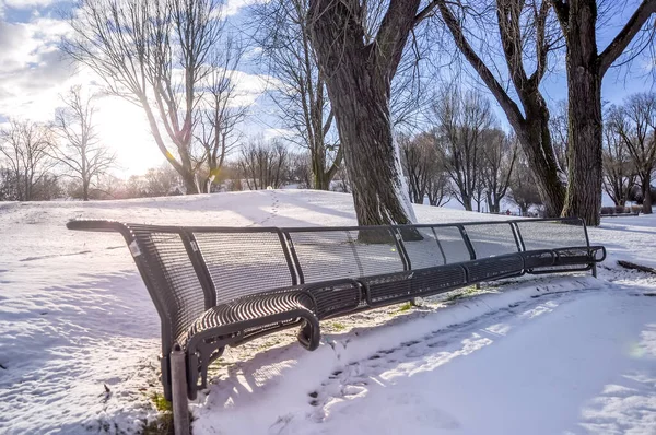 Schneeszene Winterpark See — Stockfoto