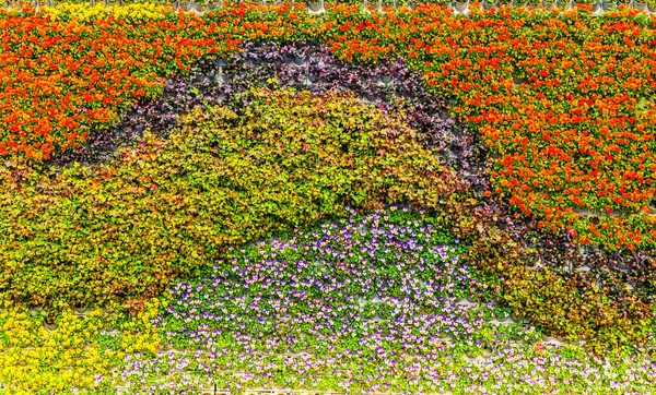 アジアの花植物壁 — ストック写真