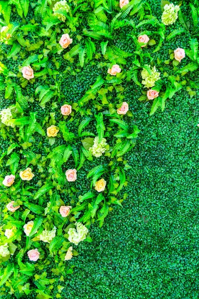アジアの花植物壁 — ストック写真