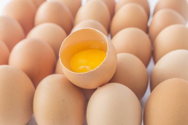 Taze organik yumurtalar, yakın plan.