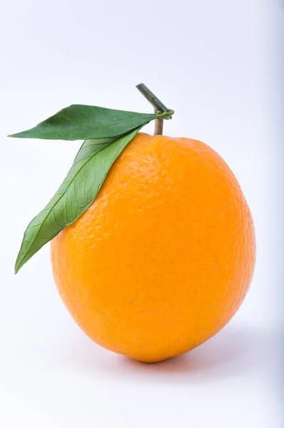 オレンジ天然柑橘類の背景 — ストック写真