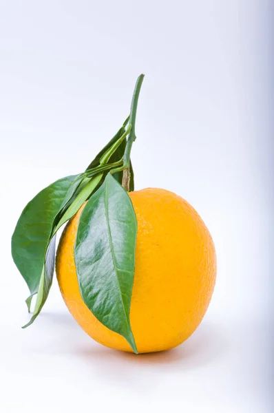 Fondo Cítrico Natural Naranja — Foto de Stock