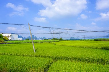 Çin ve Asya 'da tarım arazileri