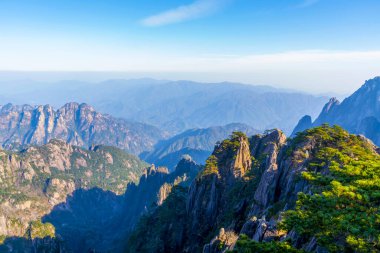 Huangshan Dağı dağ tepesi taşı ve çam ağacı.