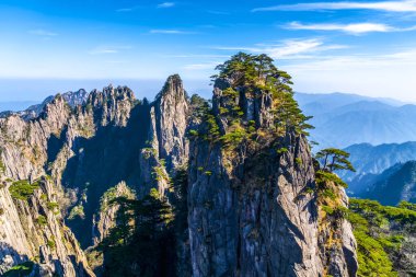 Huangshan Dağı dağ tepesi taşı ve çam ağacı.