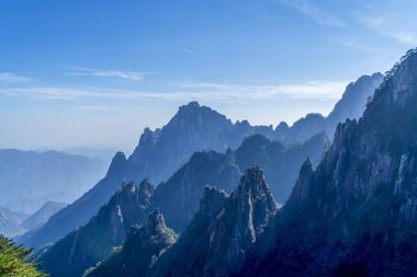 Huangshan Dağı dağ tepesi taşı ve çam ağacı.