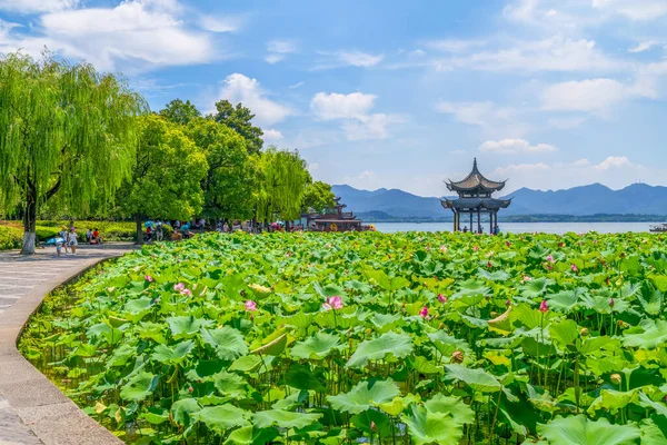 杭州西湖鸡仙馆 — 图库照片