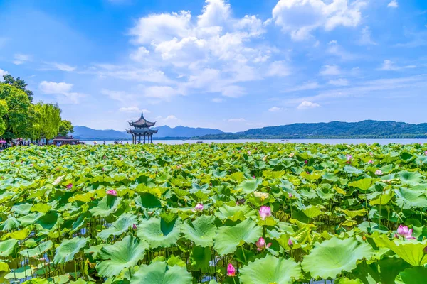 Павильон Цзисянь Западное Озеро Ханчжоу — стоковое фото