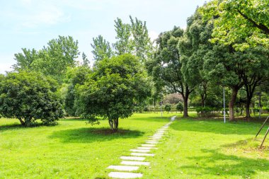 Çin 'de çimen yolu