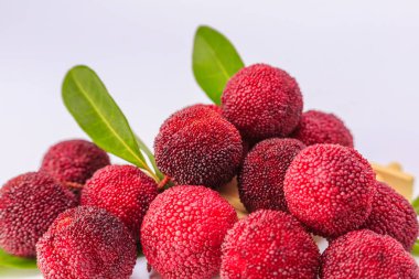 Beyaz arkaplanda kırmızı bayberry