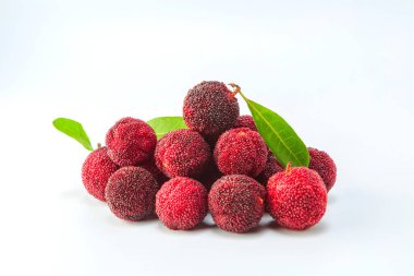 bayberry natural food background clipart