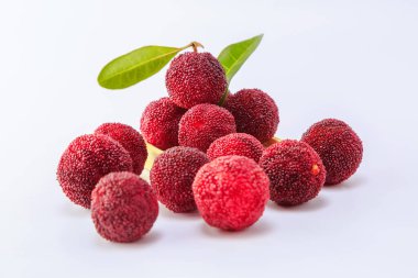 Beyaz arkaplanda kırmızı bayberry