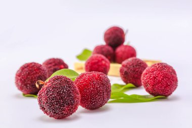 Red bayberry on white background clipart