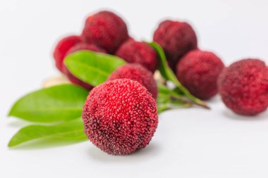 Beyaz arkaplanda kırmızı bayberry