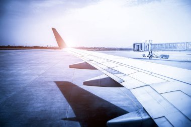 Çin 'deki havaalanı önlüğü