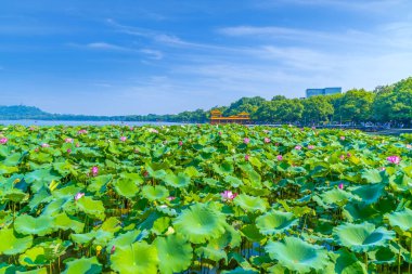West Lake 'deki peyzaj mimarisi