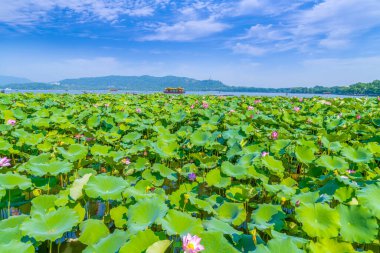 West Lake 'deki peyzaj mimarisi