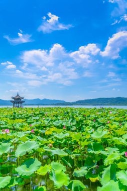 West Lake 'deki peyzaj mimarisi
