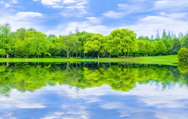 Çin 'de Greenwood, Asya