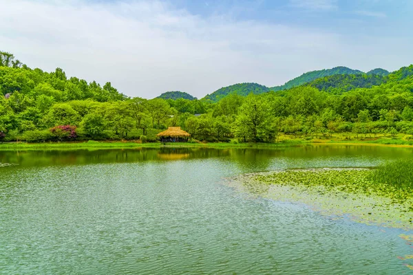 Прекрасний Краєвид Ханчжоу Західне Озеро — стокове фото