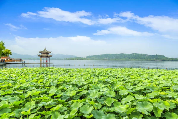Hangzhou Nun Güzel Manzarası Batı Gölü — Stok fotoğraf