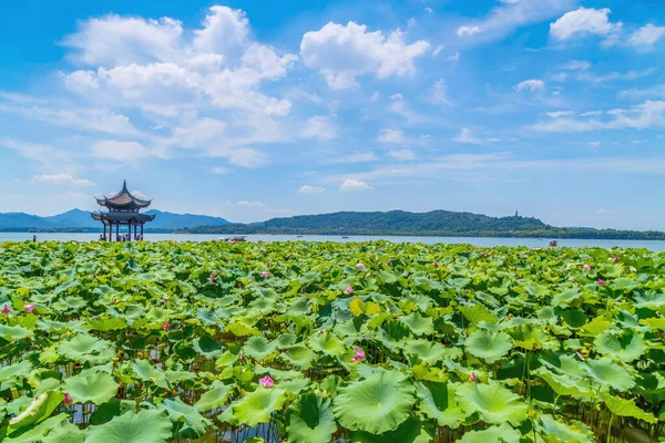 West Lake Deki Peyzaj Mimarisi — Stok fotoğraf