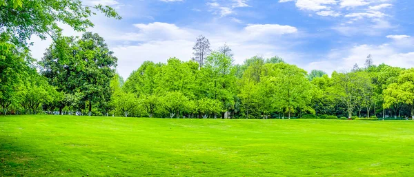 Greenwood China Asia — Stock Photo, Image