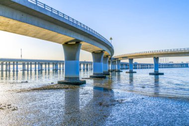 Qingdao Jiaozhou Körfezi Köprüsü
