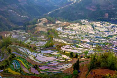 Yunnan Yuanyang Titan manzarası