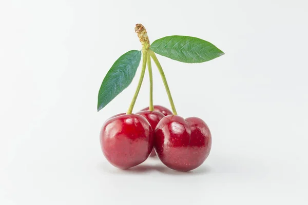 매콤하고 벚나무 — 스톡 사진