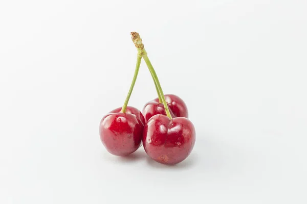매콤하고 벚나무 — 스톡 사진